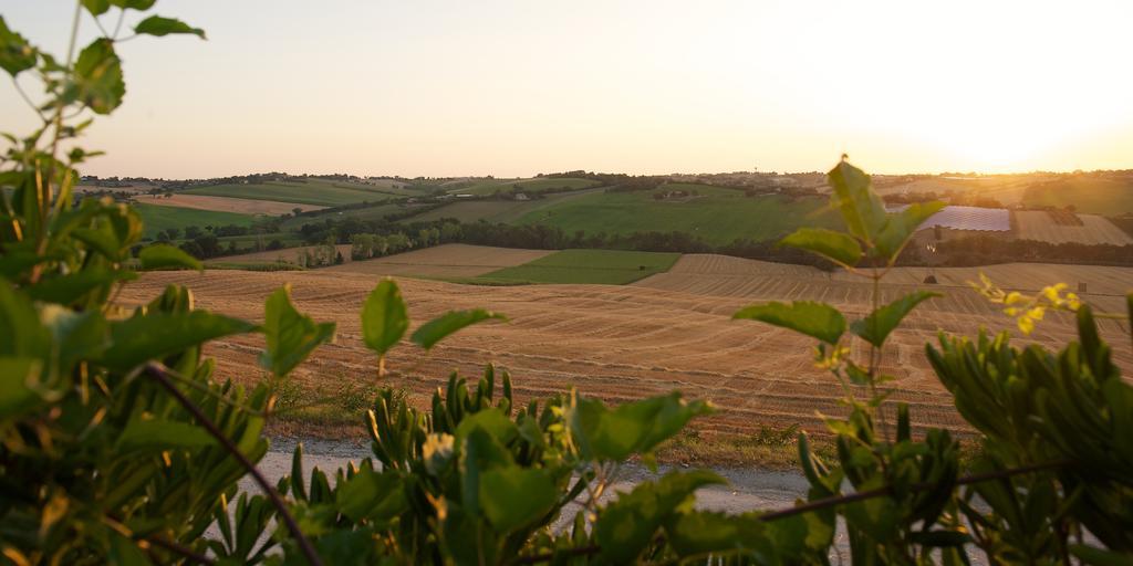 Poggio Antico Lägenhet Monte San Vito Exteriör bild
