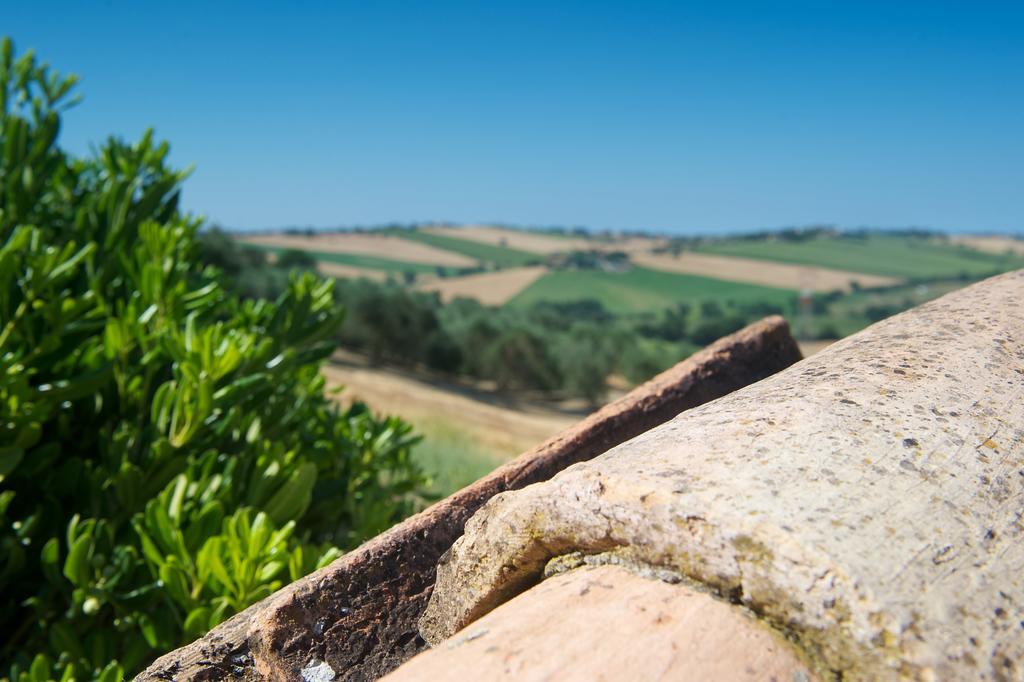 Poggio Antico Lägenhet Monte San Vito Exteriör bild