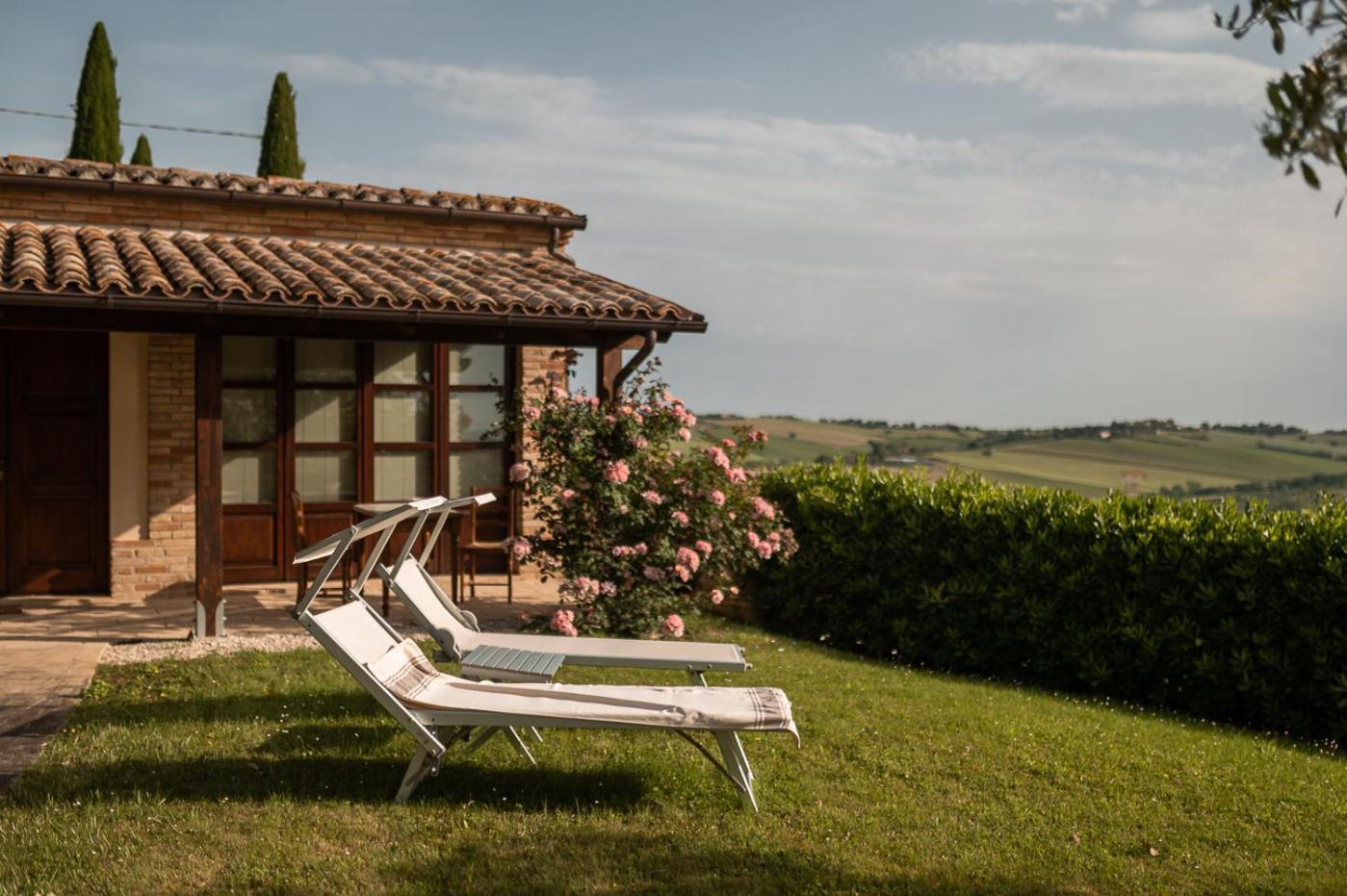 Poggio Antico Lägenhet Monte San Vito Rum bild