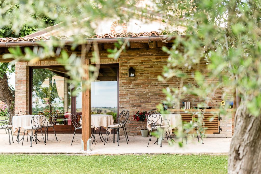 Poggio Antico Lägenhet Monte San Vito Exteriör bild