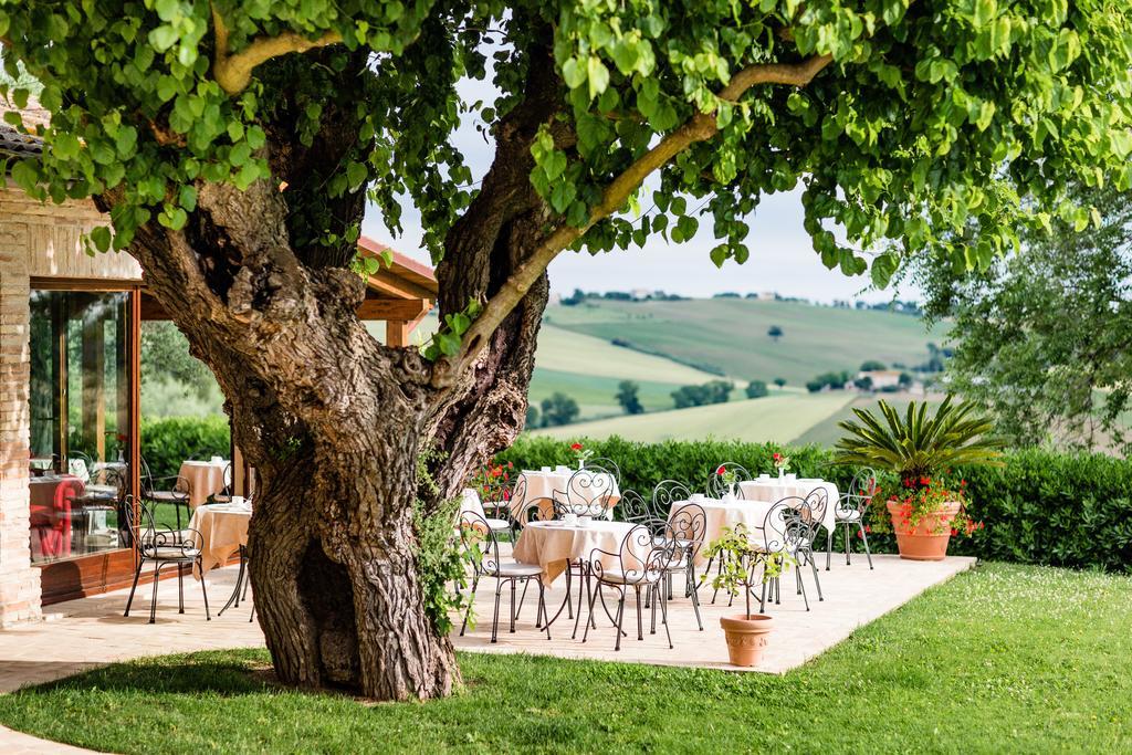 Poggio Antico Lägenhet Monte San Vito Exteriör bild