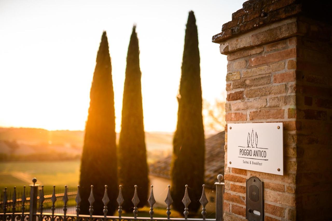 Poggio Antico Lägenhet Monte San Vito Exteriör bild